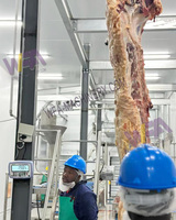Abattoir commercial 200 ligne d'abattage de bétail de traitement de viande halal de bétail pour la machine d'abattoir de vache