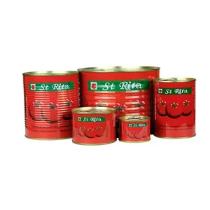 Erican marka OEM/ODM mevcut çin ihracat konserve domates salçası çoklu özellikleri iyi fiyat domates salçası