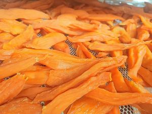 Maille en plastique HDPE multifonctionnelle moderne pour le séchage des fruits et légumes secs - Product Image 6