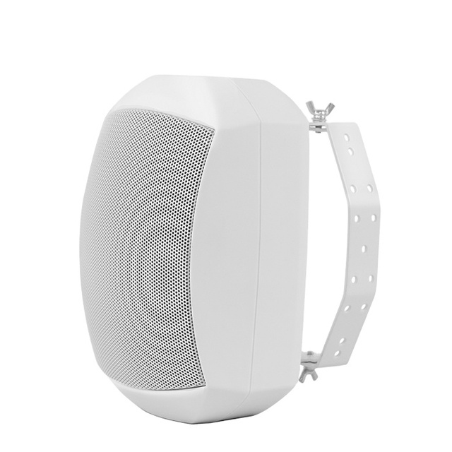Outdoor  Commercial Audio Public Address Music Sound System Plastic Waterproof  5.25" Passive  Wall Mount Speakers