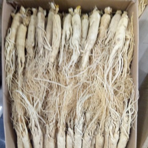 San <span class=keywords><strong>Ren</strong></span> <span class=keywords><strong>Shen</strong></span> — racines de ginseng séchées naturelles, plantes de corée, bon prix, pour vente - Product Image 3