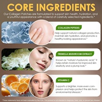 Patchs Transdermiques de Collagène Soluble Personnalisables avec Couche Supérieure Biodégradable pour la Fermeté et l'Élasticité de la Peau