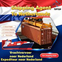 Agente de Transporte Marítimo en Holanda, Logística del Aeropuerto Internacional Ninoy Aquino, Transitario, Empresa de Mensajería