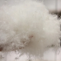 Prix fabricant, vente en gros, matériau lavable, 80% duvet de canard, 20% plumes, duvet de canard blanc lavé, literie, oreiller