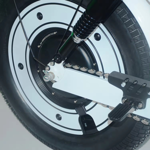 La Mejor Bicicleta Eléctrica con Neumáticos Anchos, Incluyendo Bicicleta Eléctrica Urbana y Bicicleta Eléctrica Todoterreno de Fábrica SK-2, Bicicleta Eléctrica con Neumáticos Anchos - Product Image 5