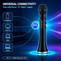Microphone sans fil professionnel OEM Studio pour karaoké avec système de haut-parleurs et moniteur/écran USB