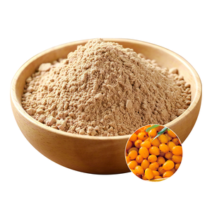 Bubuk ekstrak daun Buckthorn laut suplemen Herbal bebas kafein Jar pengocok 100g - Product Image 3