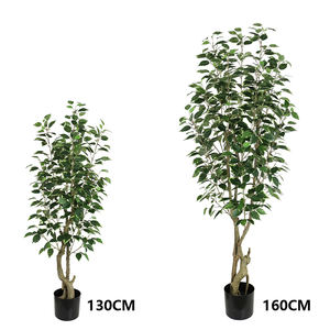 ต้นไทรเทียมขนาดใหญ่<span class=keywords><strong>160</strong></span>ซม. สำหรับตกแต่งระเบียงผลิตภัณฑ์ภายในบ้านเป็นมิตรต่อสิ่งแวดล้อม - Product Image 6