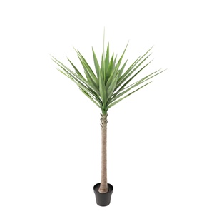 Árbol de Yucca Artificial de Plástico con Tacto Real para Interiores y Exteriores, Planta de Simulación, Árbol de <span class=keywords><strong>Agave</strong></span> Artificial, Yucca Artificial al por Mayor - Product Image 3