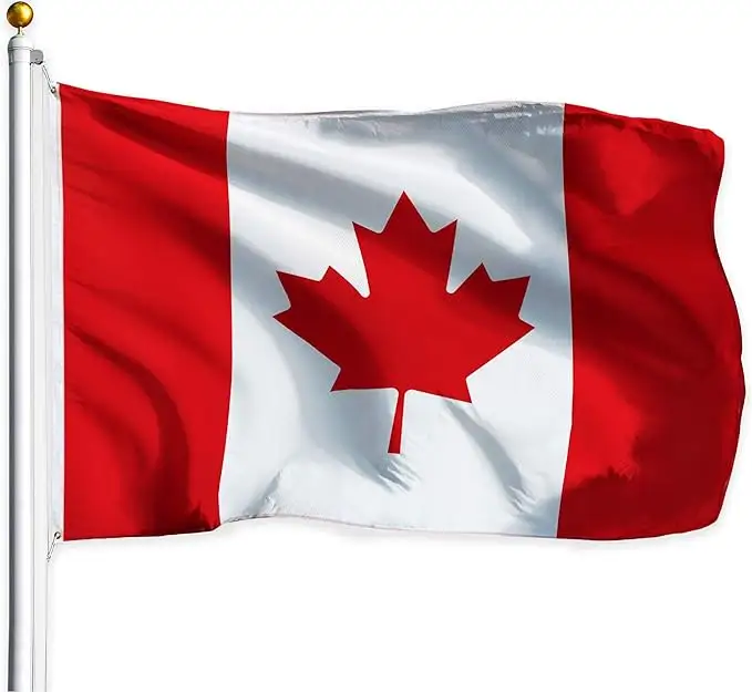 Ready to Ship High Quality Flying 3x5ft Polyester Red White Canada Country Flags with Brass Grommets for Outdoor