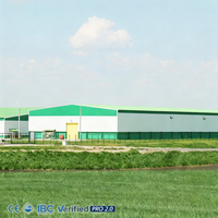 Almacén de Estructura de Acero para Almacenamiento de Granos a Granel, a Prueba de Humedad, Prefabricado, con Alta Ventilación, para Granjas