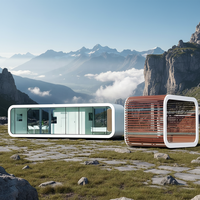 LDYZ Maison conteneur préfabriquée haut de gamme de 11 mètres, intelligente, en métal gaufré, entièrement décorée, pour séjours de vacances, à faible coût
