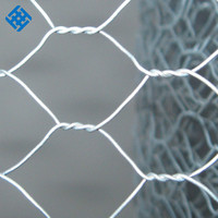 Filet de cage de poulet galvanisé hexagonal Pot de poisson de ferme et fil de piège à crabe Service de coupe personnalisable