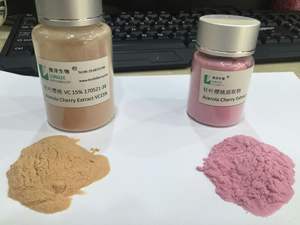 Puur Natuurlijk Acerola <span class=keywords><strong>Extract</strong></span> 1Kg Acerola Kersenpoeder Prijs - Product Image 4