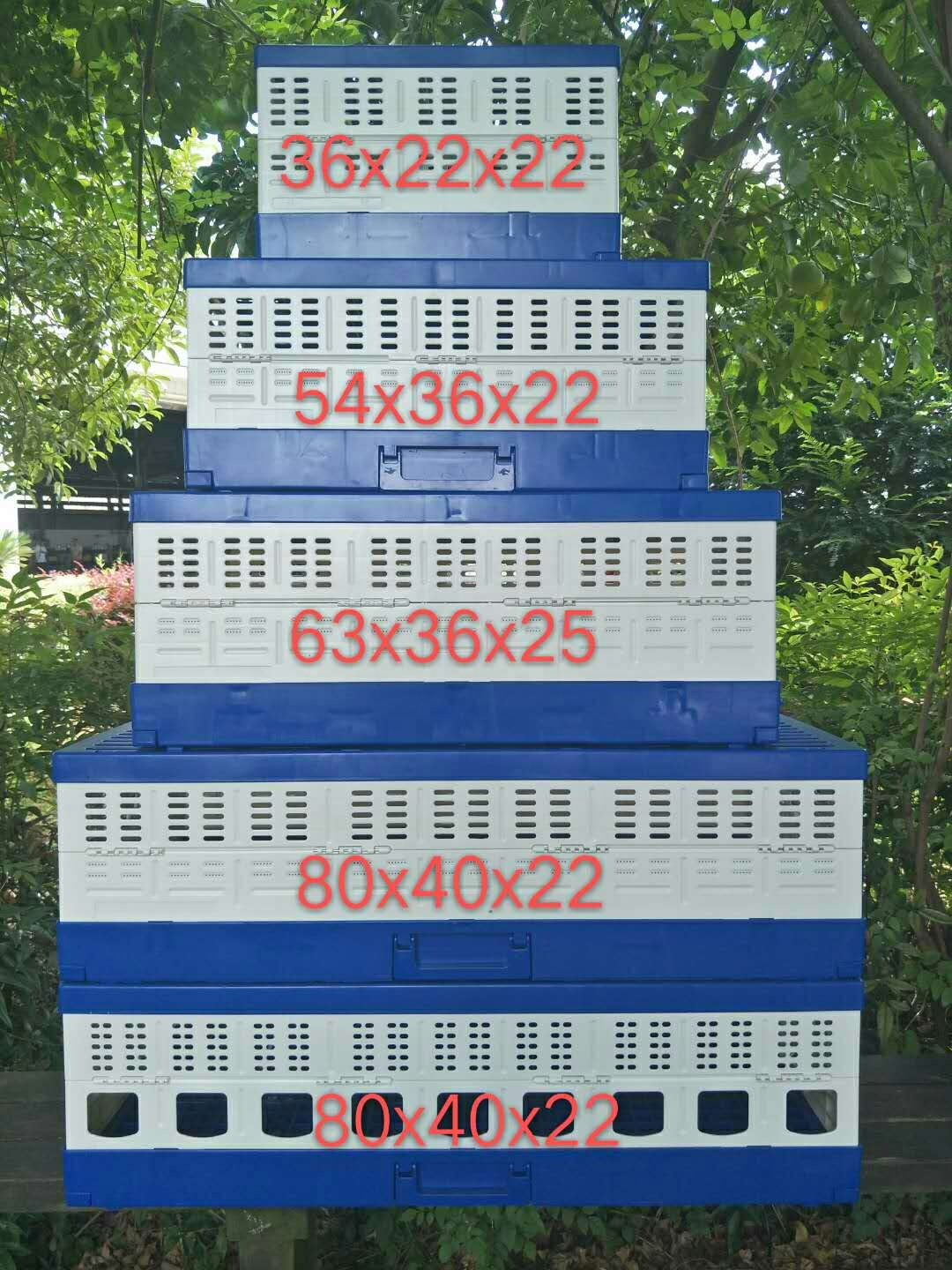 rabbit transport cage