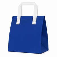 Sac isotherme personnalisé en non-tissé, écologique, imperméable, grande capacité, pour livraison de nourriture et de café, jetable, OEM