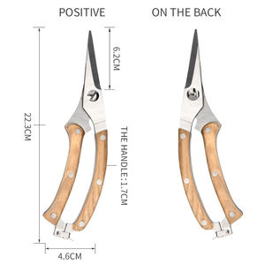 <span class=keywords><strong>Sécateur</strong></span> de jardin professionnel en acier inoxydable avec manche en bois, lame tranchante, écrou réglable et verrou de sécurité pour la taille des arbustes - Product Image 2