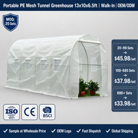 Serre tunnel autoportante en acier galvanisé avec filet PE 13x10x6.5ft pour culture hydroponique de légumes, résistante aux intempéries, personnalisable OEM