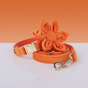 Conjunto de dos piezas de moda, flor de perro ajustable a la moda, bonitos collares y correas de perro personalizados de terciopelo naranja, correas para mascotas - Product Image 1