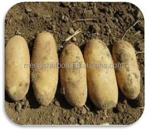 Bán Buôn Trung Quốc Rau Tươi Cơ Sở Khoai Tây Cho Snack Làm Trái Cây Và Rau Đồ Ăn Nhẹ - Product Image 4