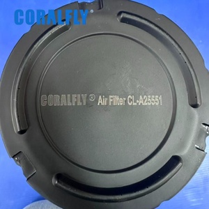 Filtro de Aire AF25551 AF25552 6672467 6672468 M131802 M131803 87300179 87300180 256C1-08011 11MH-20090 - Product Image 5