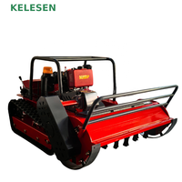 Robot Pemotong Rumput RC Multifungsi Desain Baru, Pemotong Rumput Lereng dengan Remote Control, Mesin Pemotong Semak dengan Remote Control untuk Petani