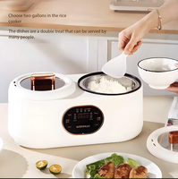 Autocuiseur Électrique Intelligent 1,8L + 1,8L en Gros, Mini Cuiseur à Riz Électrique Automatique Multifonctionnel pour Petits Espaces
