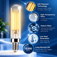 Fournisseur d'éclairage décoratif OEM ODM, ampoule à filament LED T20 4W E14, ampoule tubulaire 400lm, verre clair ambré givré, certifié CE UKCA