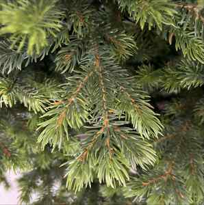 Arbre de Noël Artificiel 3D en PE de Luxe, Vente en Gros Directe Usine, Très Demandé, pour Décoration Intérieure - Product Image 2
