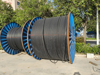 Câble de commande flexible en cuivre blindé PVC CY -20C~+70C pour l'automatisation industrielle, les machines-outils et les équipements