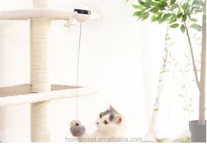 Jouets <span class=keywords><strong>de</strong></span> chaton à roulement automatique <span class=keywords><strong>Meilleur</strong></span> cadeau pour votre chat/chaton - Product Image 3