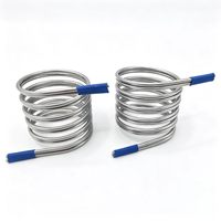 Clip de roulement de forme spéciale personnalisé, ressort de torsion double spirale en acier inoxydable