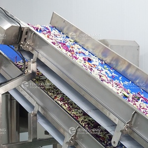 Línea de Procesamiento Comercial de Ensaladas, Línea de Producción de Vegetales, Línea de Corte, Lavado y Secado de Frutas y Verduras - Product Image 3