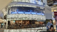 Usine Top Qualité P3.91 P7.81 P2.6 P5.6 Intérieur Glace LED Panneau Vidéo Mur Transparent LED Écran D'affichage pour La Publicité