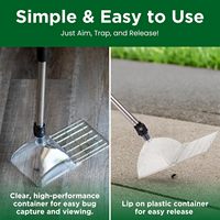 Conteneur attrape-insectes extensible en acier inoxydable, piège à insectes pour araignées, fourmis, lézards, attrape-insectes pour la maison