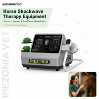 Appareil de physiothérapie par ondes de choc vétérinaire Kaphaphysio pour chevaux, chiens, chats et autres animaux, pour la physiothérapie des tendons et des ligaments, usage professionnel en centre.