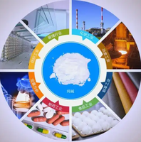 Cendres de soude de qualité industrielle supérieure 99,2 % min. Densh CAS 497-19-8 pour l'industrie du verre