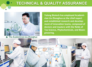 Yulong 100% Matcha polvo de té verde grado ceremonial orgánico <span class=keywords><strong>Macha</strong></span> directo del fabricante bolsa de té de estilo instantáneo - Product Image 6