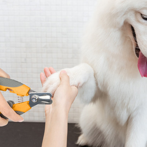 Coupe-ongles pour chiens, outil de soin des griffes avec poignée en plastique orange et bleu, ciseaux de toilettage pratiques - Product Image 4