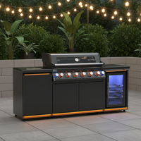 Articles de cuisine en Chine Mobilier d'extérieur Grils de barbecue à gaz en acier inoxydable Armoire de cuisine préfabriquée en plein air