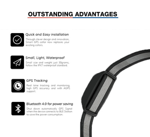 Eview Anti Verloren Gps Pet Collar Tracker Oem Odm Custom Waterdichte Mini Real Time Tracking Dog En Kat Halsband Locator 2G - Product Image 5