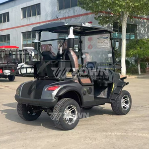 Carrito de Golf Eléctrico de 2 Personas, Diseño 2026, 4 Ruedas, Frenos de Disco Hidráulicos, Asiento Cómodo para Campos de Golf y Parques - Product Image 2