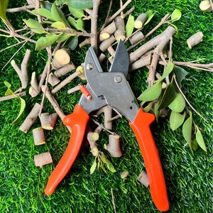 Sécateur de taille de qualité export en acier inoxydable 20-30 mm, outil de jardin rouge pour la taille des arbres fruitiers, des fleurs et des arbustes - Product Image 1