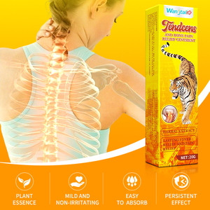 Pomada Herbal Antirreumática Wangtailin para Alívio da Dor Corporal para Idosos e Pessoas de Meia-Idade 20g Personalizável - Product Image 3