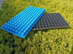 Bandeja de Germinación de <span class=keywords><strong>Semillas</strong></span> de Plástico PET/PS de 128 Celdas Redondas, Barata, al por Mayor en China, para Vegetales de Invernadero en Filipinas - Product Image 6