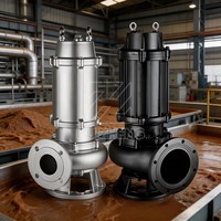 Pompe submersible en acier inoxydable pour eaux usées, accouplement fixe, haute efficacité, certifiée ISO9001 CE, pour fosses municipales et boues portables