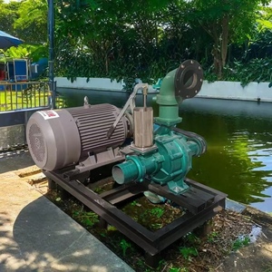 Bomba de agua centrífuga horizontal de 50hp, de hierro fundido, para circulación de agua de contracorriente, 37kw, OEM personalizable. Bomba de Agua de 50hp - Product Image 1