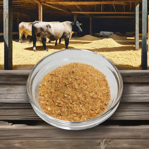 מכירה חמה של מזון בקר כבשים לגידול בריא גידול חלבון גבוה חלבון תירס - Product Image 1