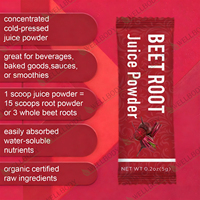 WELLBODY Nature Sports Nutrition Supplements Extrait de betterave rouge en poudre Jus de betterave en poudre Poudre de racine de betterave