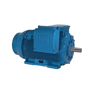 Motor Asíncrono Trifásico Estándar WEG W20, RPM 315kW, 50/60Hz, 380V CA, Eficiencia IE3, IP55, TEFC, Refrigeración por Aire - Product Image 6